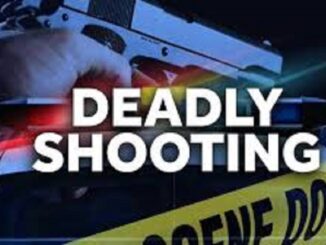 Edwin Hilton Death: 30-year-old man shot dead in Leonidas neighborhood