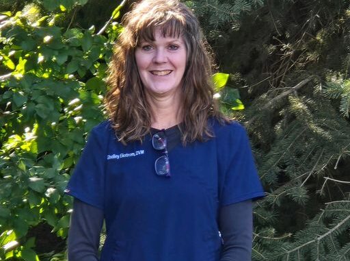 Shelley Ekstrom Missing; Conifer, CO, 48-year-old Veterinarian found dead, Randy hospitalized